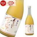 リキュール あらごし ジンジャー 15度 720ml 梅乃宿酒造 酒 お酒 ギフト 父の日 お中元 御中元 誕生日 内祝 お祝い 宅飲み 家飲み