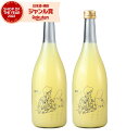 【300円OFFクーポン☆5/30(金)〜】 リキュール Bar ヨー子 ドライレモンサワー 14度 720ml×2本 楯の川酒造 楯野川 酒 お酒 ギフト 父...