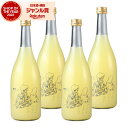 【300円OFFクーポン☆5/30(金)〜】 リキュール Bar ヨー子 ドライレモンサワー 14度 720ml×4本 楯の川酒造 楯野川 酒 お酒 ギフト 父...