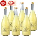 【300円OFFクーポン☆5/30(金)〜】 リキュール Bar ヨー子 ドライレモンサワー 14度 720ml×6本 楯の川酒造 楯野川 酒 お酒 ギフト 父...