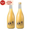 【300円OFFクーポン配布中】 リキュール Bar ヨー子 グレフルサワー 14度 720ml×2本 楯の川酒造 楯野川 酒 お酒 ギフト 父の日 誕生日 内...