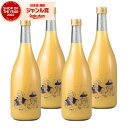 【300円OFFクーポン配布中】 リキュール Bar ヨー子 グレフルサワー 14度 720ml×4本 楯の川酒造 楯野川 酒 お酒 ギフト 父の日 誕生日 内...