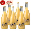 【300円OFFクーポン配布中】 リキュール Bar ヨー子 グレフルサワー 14度 720ml×6本 楯の川酒造 楯野川 酒 お酒 ギフト 父の日 誕生日 内...