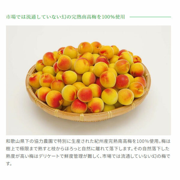 【数量限定】 チョーヤ アイスヌーボー(CHOYA ICE NOUVEAU)　氷熟梅ワイン　2024　720ml