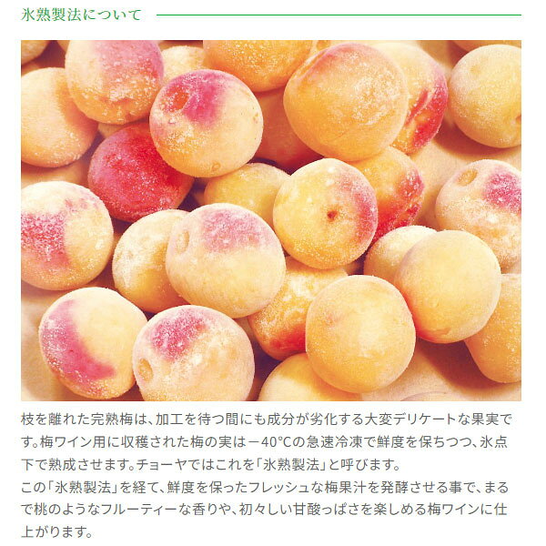 【数量限定】 チョーヤ アイスヌーボー(CHOYA ICE NOUVEAU)　氷熟梅ワイン　2024　720ml