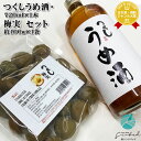つくし 梅酒 12度 720ml +つくし梅実 約400g 地域別 送料無料 西吉田酒造 福岡県 リキュール 梅酒 お酒 飲み比べ 内祝い 誕生日 男性 女性 ...