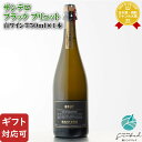 サンテロ ブラック ブリュット 750ml イタリア スプマンテ スパークリングワイン 白 辛口 ワイン お酒 ギフト プレゼント 飲み比べ 内祝い 誕生日 男性 女性 お中元 父の日(4)