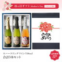 【ギフト対応可】CAVA ヴィーニャ・アデライダ ブリュット + ブリュット ナチュレ + ロゼ・ブリュット スパークリングワイン 750ml 合計3本セット 地域別 送料無料 ワイン プレゼント 飲み比べ 内祝い 誕生日 男性 女性 母の日