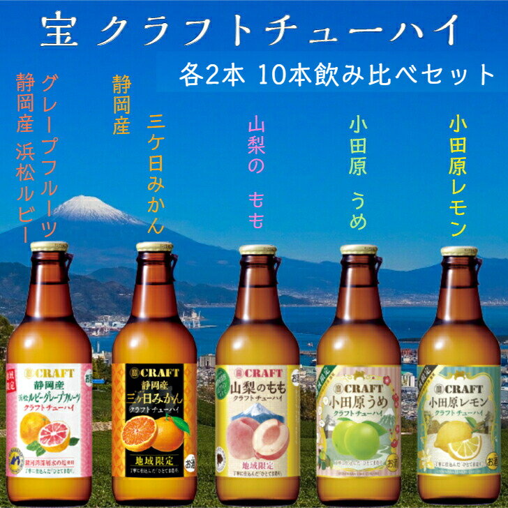 宝クラフトチューハイ330ml×10本 5種類 各2本ずつ 飲み比べセット チューハイ 酎ハイ 焼酎 飲み比べ 父の日 母の日 プレゼント 贈り物 寶酒造 地域限定品 酎ハイ 飲み比べ クラフトチューハイ 飲み比べ クラフトチューハイ 敬老の日