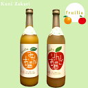 國盛 フルリア みかんのお酒 りんごのお酒 720ml 飲み比べセット 2本セット 7% リキュール