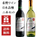 【送料無料】長野ワイン 日本固有品種 紅白2本セット 720ml×2本　｜　信州 ワイン ギフト 飲み比べ 酒 お歳暮 お中元 ギフト