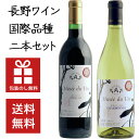 紅白ワイン 【送料無料】長野ワイン 国際品種 紅白2本セット 720ml×2本　｜　信州 ワイン ギフト 飲み比べ 酒 お歳暮 お中元 ギフト