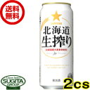 サッポロビール 北海道 生搾り【500ml×48本(2ケース)】 缶ビール 発泡酒 送料無料 倉庫出荷