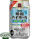 宝 焼酎ハイボール 特製サイダー割り 5% 【350ml×24本(1ケース)】 タカラ チューハイ