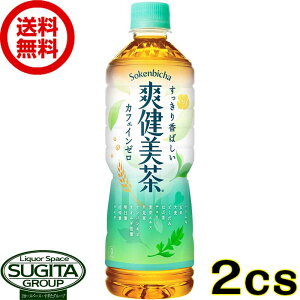 爽健美茶 PET 600ml 【600ml×48本(2ケース)】　｜　【直送】コカ コーラ ペットボトル お茶 緑茶 53349