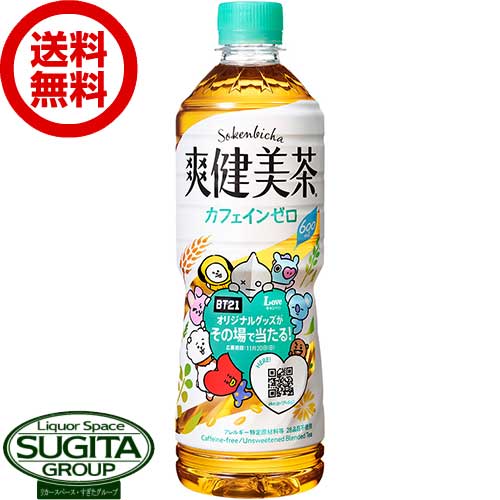 【10%OFFクーポン】【送料無料】【直送】 爽健美茶 【600ml×24本(1ケース)】 お茶 500 ペットボトル 爽健美茶 BT21 BTS