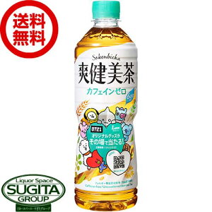 【10%OFFクーポン】【送料無料】【直送】 爽健美茶 【600ml×24本(1ケース)】 お茶 500 ペットボトル 爽健美茶 BT21 BTS