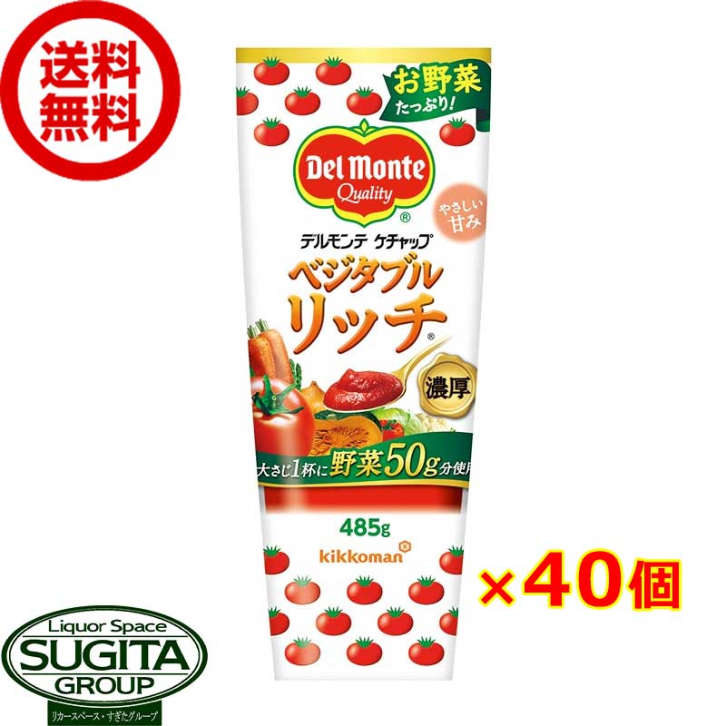 デルモンテ ベジタブルリッチ ケチャップ【485g×40本(2ケース)】　｜　送料無料 倉庫出荷 キッコーマン トマトケチャップ チューブ 完熟トマト 10種の野菜 緑黄色野菜 塩分 約50％カット