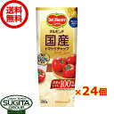 デルモンテ 国産トマトケチャップ 【285g×24個(2ケース)】 トマトケチャップ チューブ まとめ買い 送料無料 倉庫出荷