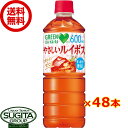 サントリー グリーンダカラ やさしいルイボス ティー 【600ml×48本(2ケース)】 お茶 500 ペットボトル 送料無料 倉庫出荷