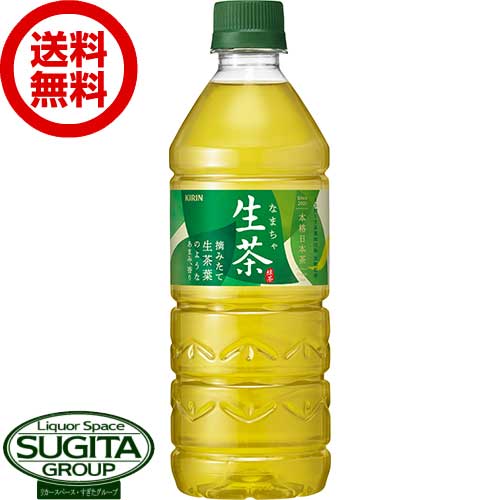 キリン 生茶 【555ml×24