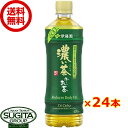 伊藤園 お～いお茶 濃い茶 【600ml×24本(1ケース)】 おーいお茶 緑茶 500 ペットボトル 送料無料 倉庫出荷