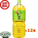 伊藤園 お～いお茶 2000ml 【2L×12本(2ケース)】 おーいお茶 緑茶 大型ペットボトル 送料無料 倉庫出荷