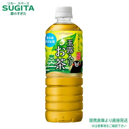 玉露入りお茶 熊本城復旧応援ラベル【600ml×48本(2ケース)】　｜　ポッカサッポロ ペットボトル 熊本県産 玉露 お茶 緑茶 くまモン 玉露のうまみ 送料無料 倉庫出荷