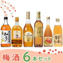 こだわりの梅酒 6本セット 飲み比べ 【500-750ml×6本】 瓶リキュール 梅酒 詰め合わせ チョーヤ 南高梅 加賀梅酒 あらごし 送料無料
