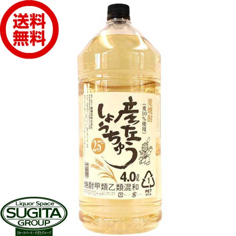 【送料無料】 轟醸造 彦左しょうちゅう 25度 4000ml ペットボトル 【4L 4本 1ケース 】 愛知県 麦焼酎 甲乙混和焼酎 大容量