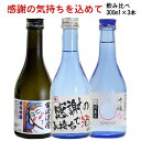 父の日 プレゼント 石川 日本酒 感謝の気持ちラベル入り 飲み比べセット 300ml×3本 本醸造 純米吟醸 吟醸生貯蔵 父の日カード付