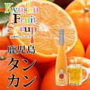 福田農場 タンカンシロップ 500ml|詳細画像