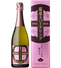 五代薩摩スパークリング梅酒 箱入り 750ml 山元酒造
