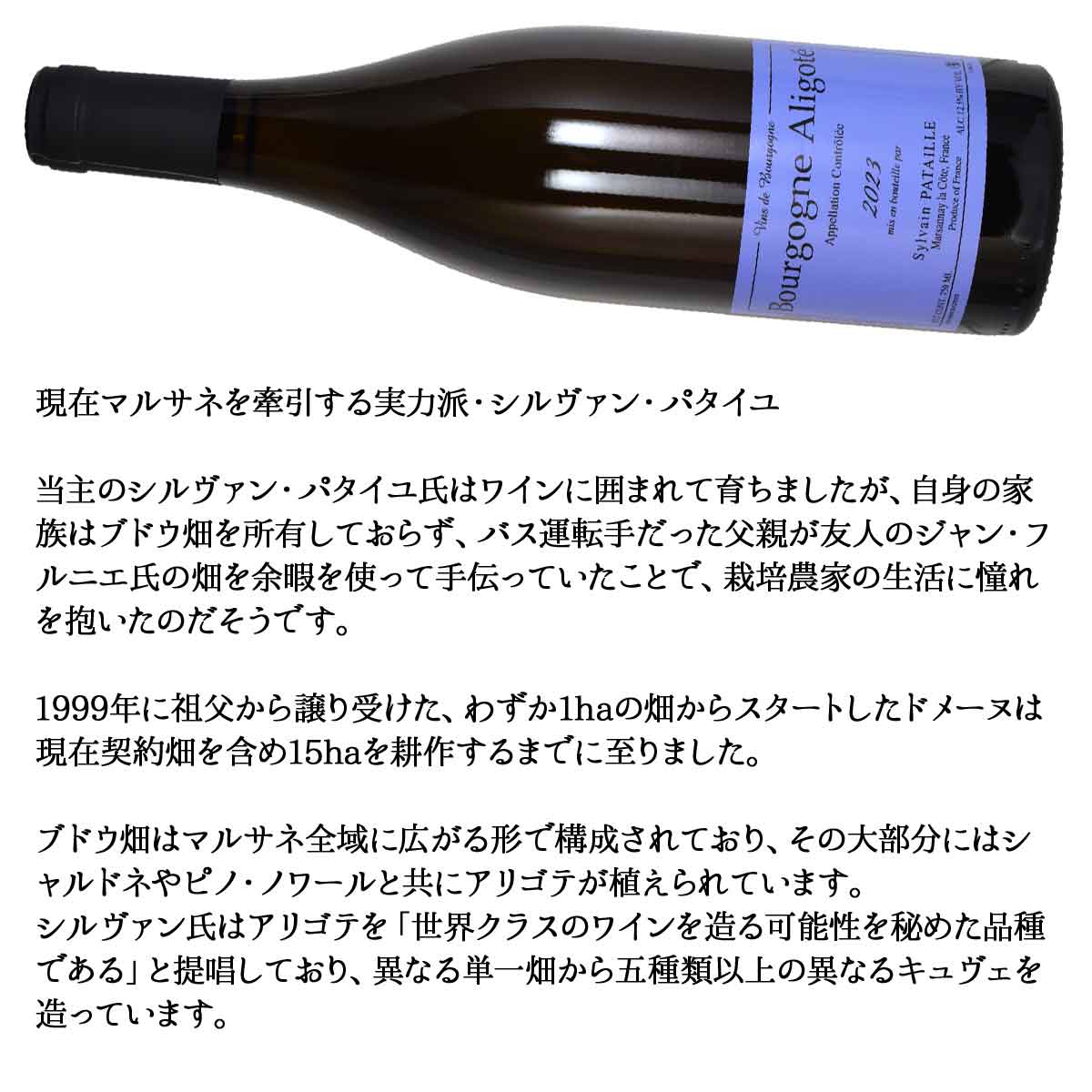 ［2023］ブルゴーニュ・アリゴテ 750ml白 シルヴァン・パタイユBOURGOGNE ALIGOTE / SYLVAIN PATAILLE sakedondon-10019650 酒どんどん 楽天市場店 サンプル画像3