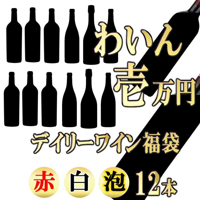 ワイン福袋 壱万円 （泡・白・赤合計12本）　わいん ふくぶくろ ※北海道・東北地区は、別途送料1000円が発生します。　わいん ふくぶくろ ※北海道・東北地区は、別途送料1000円が発生します。