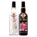 XYGIN BLACK GOLDEPINK SILVER 45x 700ml~e1{ VeB[n^[ NtgW  XYZkCEkGA͕ʓr^1000~܂B