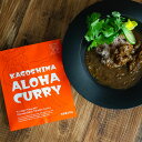 パケット Meatyou ALOHA スパイスカレー 200g motto-003 メーカー直送 代引 同梱不可 スパイスカレー カレー Meatyou