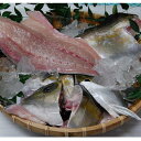 【西日本エリアまで出荷可能】甑島産 カンパチ1尾3枚下ろし約3.8kg 甑島産産地直送f※北海道・東北地区は、別途送料1000円が発生します。