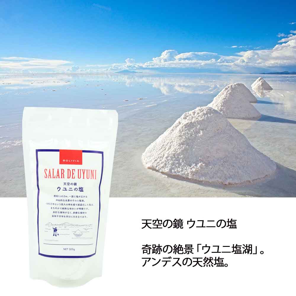 ［320g］ 天空の鏡 ウユニの塩 ボリビア産ウユニの湖塩 sakedondon-10017924 酒どんどん 楽天市場店 サンプル画像2