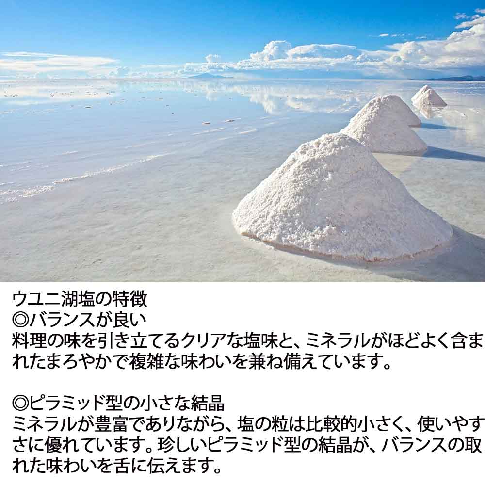 ［320g］ 天空の鏡 ウユニの塩 ボリビア産ウユニの湖塩 sakedondon-10017924 酒どんどん 楽天市場店 サンプル画像3