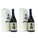 【2本】五橋 純米大吟醸 15度720ml 精米歩合 40% 山口県産 酒井酒造 ふくらみのある優しい甘みとなめらかな酸味