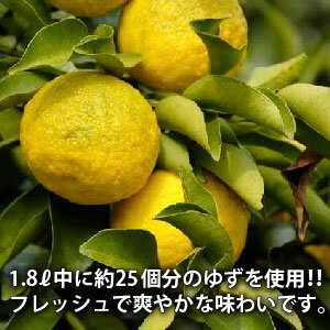 【名入れ ギフト】 ゆず酒 500ml 毛筆風...の紹介画像2