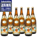 送料無料 伊佐美 1800ml 6本セット 甲斐商店 御歳暮 ギフト 贈答