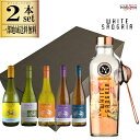 カクテルインフュージョン ホワイトサングリア 110g コノスル ヴァラエタルシリーズ 白ワイン 750ml 2本セット 特別なイベントや 日常のご褒美に ピッ...
