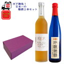 梅酒 2種 2本セット 東光吟醸梅酒 山形県小嶋総本店 500ml 木内梅酒 茨城県 木内酒造 500ml 一部地域送料無料 ギフトボックス付き 天下御免 日本...