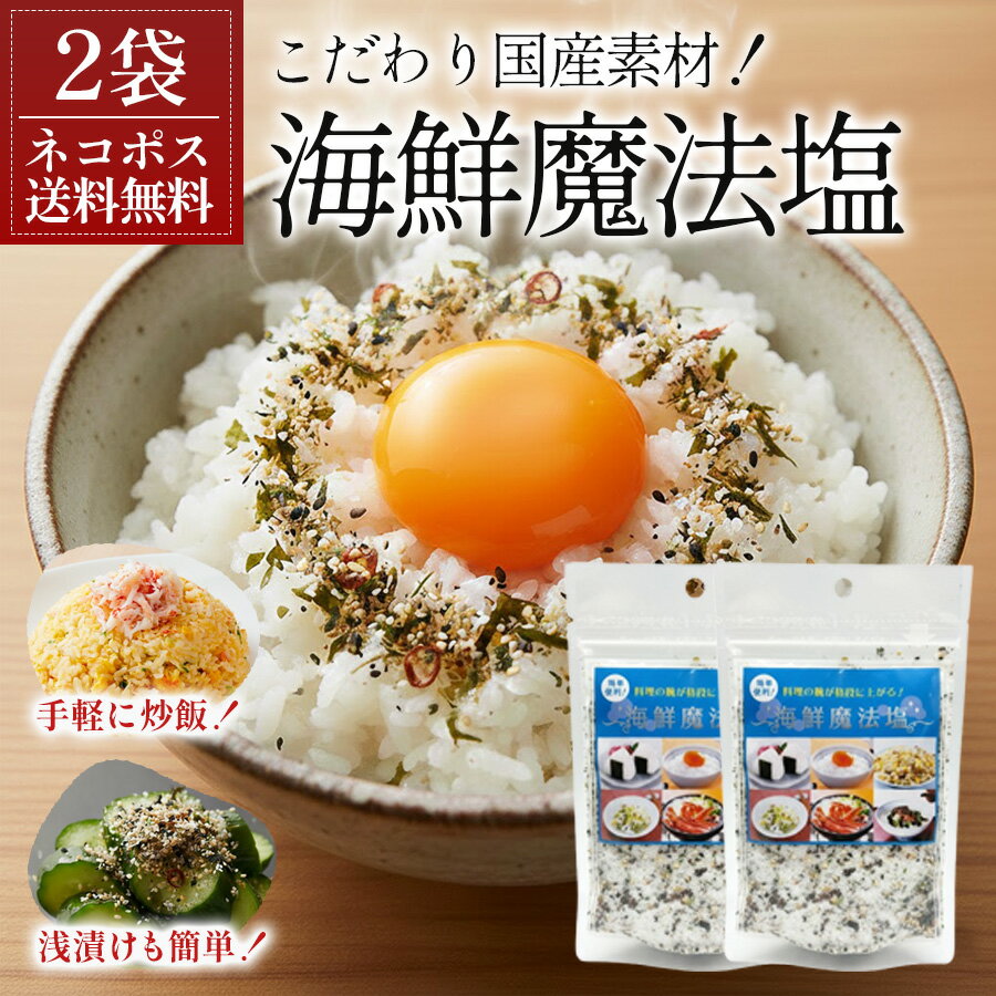 【ネコポス送料無料 】賞味期限：2026年7月18日 オカベ 海鮮魔法塩 120g × 2袋 天然調味料 万能スパイスシーズニング 塩焼き 炒め物 焼肉 バーベキュー 魚介 肉料理におすすめ ポスト投函 日時指定不可 代引き不可 特価