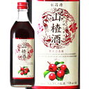 KIRIN RUV 500ml TUV`E ʎL[ ǘIV[Y ꕔn摗