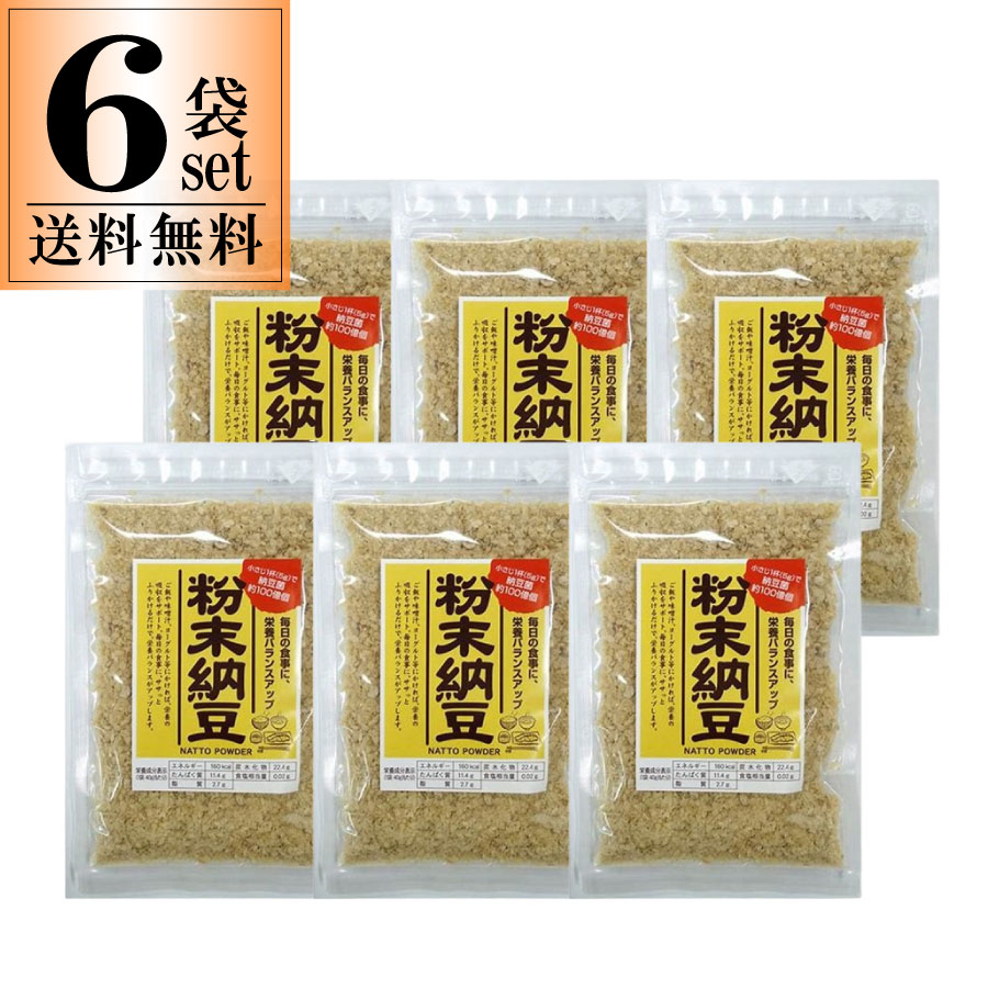 6袋セット 粉末納豆 粉納豆 40g 信州物産 粉なっとう 一部地域送料無料