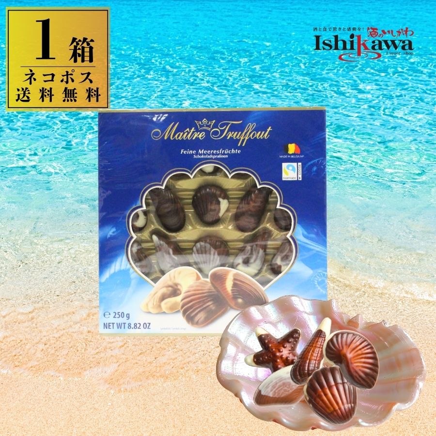 母の日【ネコポス送料無料】ベルギー産 シーシェルチョコレート 250g ヘーゼルナッツクリーム入り  ...