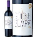 グース バンプ 750ml 赤ワイン イタリア ミディアムボディ フェウド アランチョ Goose Bump mp
